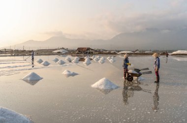 Nha Trang, Vietnam'da tuz sahasında çalışan insanlar.