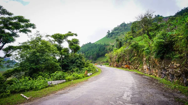 Yen Bai Eyaletinde Dağ Yolu Kuzey Vietnam — Stok fotoğraf