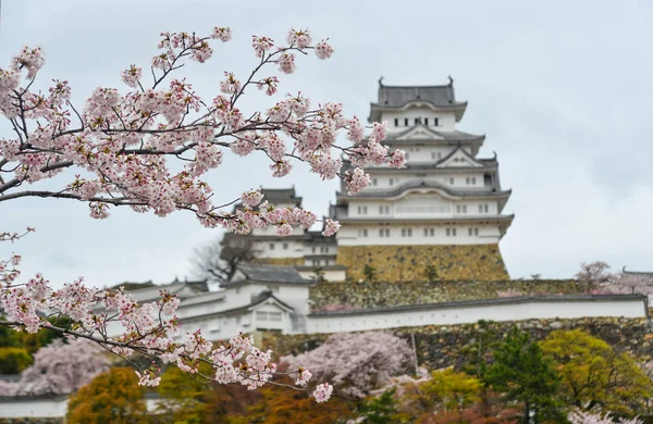 Antiguo Castillo Himeji Japón Con Flor Cerezo Primavera — Foto de Stock