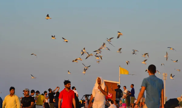 Dubai Uae Dec 2018 People Playing Seagull Birds Beach Burj — Stock Photo, Image