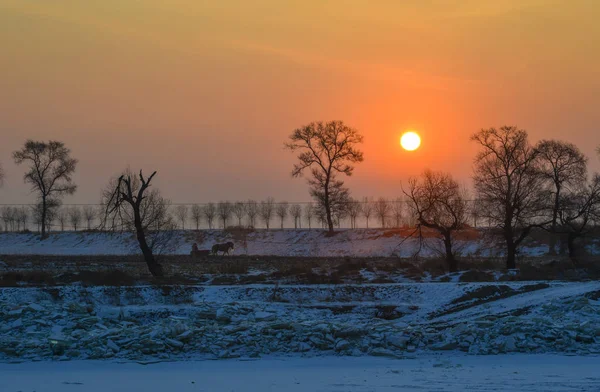 Zonsondergang Landschap Winter Met Veel Bomen Leeg Veld — Stockfoto