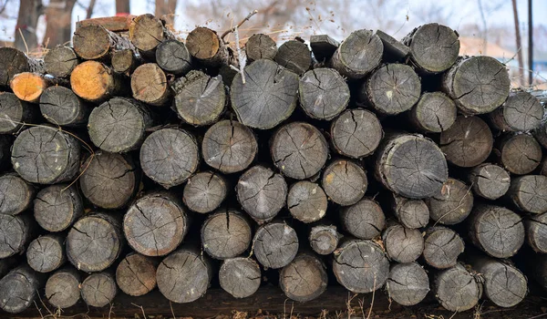 乾燥みじん切り薪ログの背景は 山で互いの上に積み上げ 冬の火災木製ストック — ストック写真