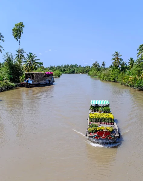 อขนส ดอกไม บนแม าโขงในฤด ใบไม ในภาคใต ของเว ยดนาม — ภาพถ่ายสต็อก