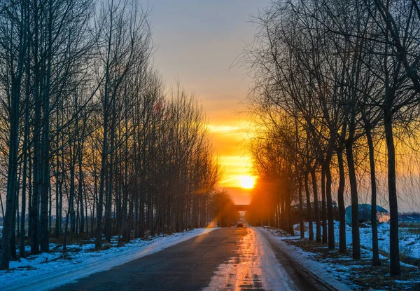 Zonsondergang Landelijke Weg Met Veel Bomen Noord China — Stockfoto