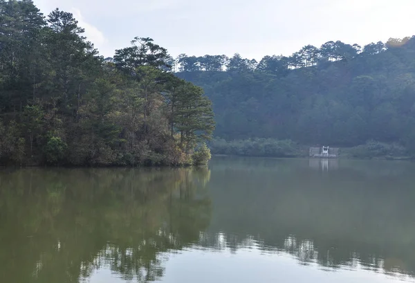 湖景与松树森林在大叻 — 图库照片