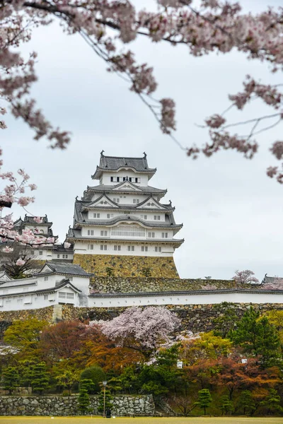 Antiguo Castillo Himeji Japón Con Flor Cerezo Primavera — Foto de Stock