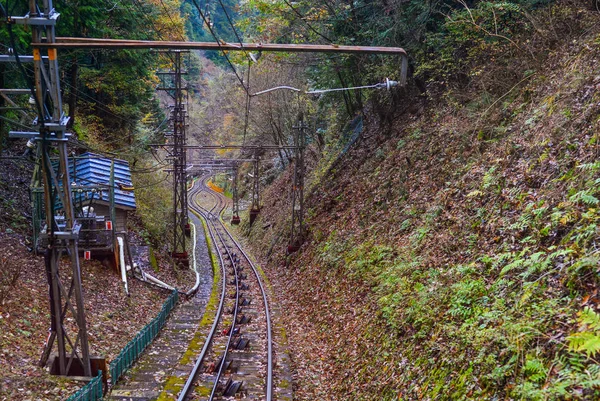 一辆缆车在铁路轨道上行驶到日本关西的Koya山 Koyasan — 图库照片