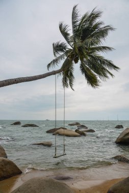 Nam Du Island, Vietnam hindistan cevizi ağacı ile Rock plaj.