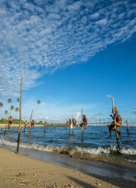 Hikkaduwa, Sri Lanka - 9 Eylül 2015. Hikkaduwa, Sri Lanka güneşli bir günde plajda benzersiz bir tarzda balıkçılık Yerel balıkçılar.