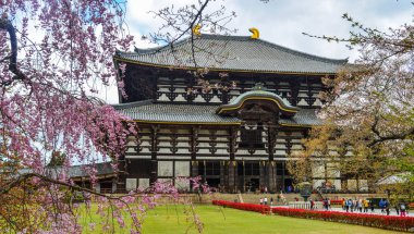 Nara, Japonya - Nis 10, 2019. Nara, Japonya'da kiraz çiçeği ile Antik Budist tapınağı Todai-ji.