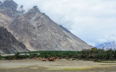 Nubra Vadisi'ndeki dağ manzarası, Ladakh, Kuzey Hindistan.