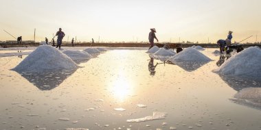 Nha Trang, Vietnam - 21. Nha Trang, Vietnam'da gün doğumunda tuz sahasında çalışan insanlar. Tuz alanları Nha Trang en eşsiz yerlerinden biridir.