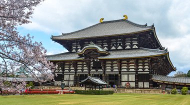 Nara, Japonya'da kiraz çiçeği ile Antik Budist tapınağı Todai-ji.