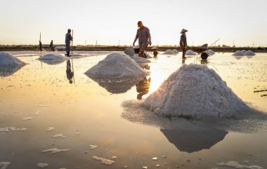 Nha Trang, Vietnam - 21. Nha Trang, Vietnam güneşli bir günde tuz alanında çalışan insanlar. Tuz alanları Nha Trang en eşsiz yerlerinden biridir.