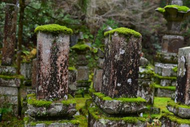 Wakayama' daki Koya Dağı'ndaki (Koyasan) Okunoin Mezarlığı' ndaki antik mezar taşları, Japonya.
