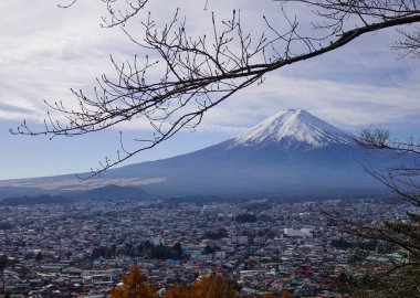 Güneşli bir günde Fuji Dağı'nın sonbahar manzarası.