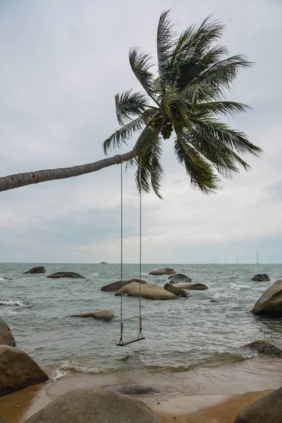 Playa Rocas Con Cocoteros Isla Nam Vietnam — Foto de Stock