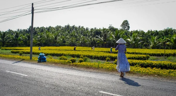 Uma Mulher Andando Estrada Perto Campo Flores Mekong Delta Vietnã — Fotografia de Stock