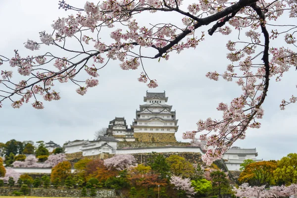 Antiguo Castillo Himeji Japón Con Flor Cerezo Primavera — Foto de Stock