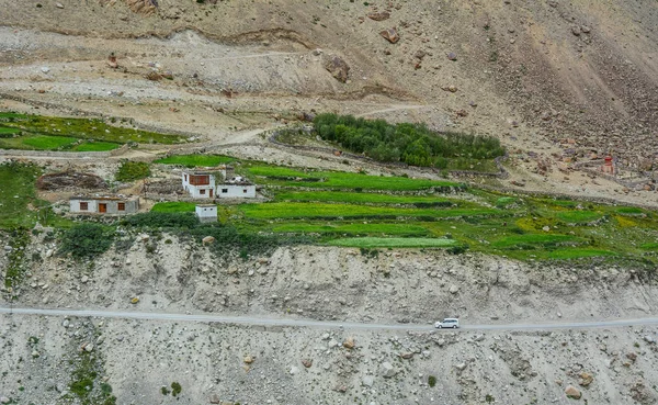 Valle Verde Primavera Ladakh India Ladakh Altopiano Più Alto Dello — Foto Stock