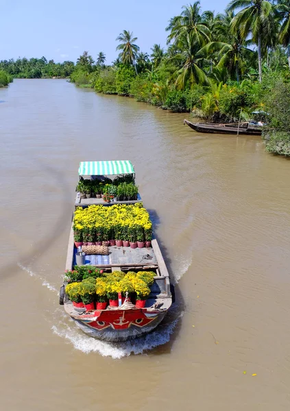 越南南部春季在湄公河上运送鲜花的货船 — 图库照片