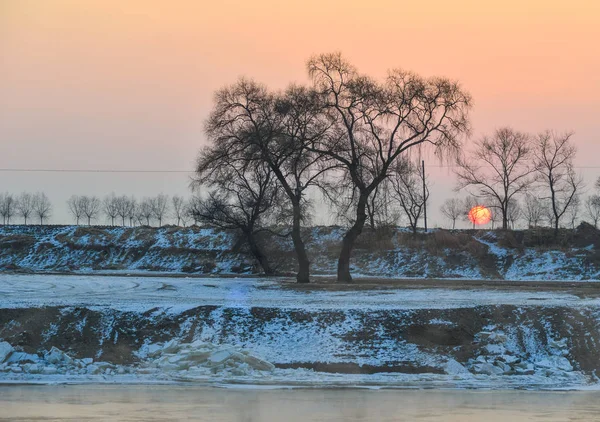 Zonsondergang Landschap Winter Met Veel Bomen Leeg Veld — Stockfoto