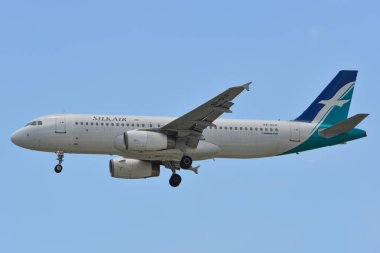 Changi Havaalanı'na uçak iniş (Sin)