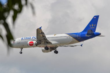 Changi Havaalanı'na uçak iniş (Sin)