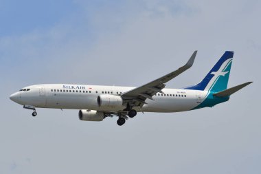 Changi Havaalanı'na uçak iniş (Sin)