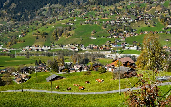 Città di montagna a Grindelwald, Svizzera — Foto Stock
