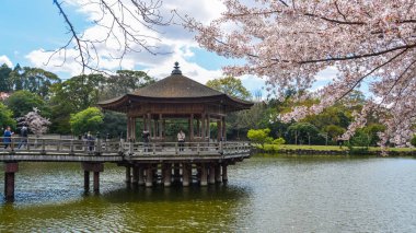 Kiraz çiçeği sırasında Ukimido Gazebo