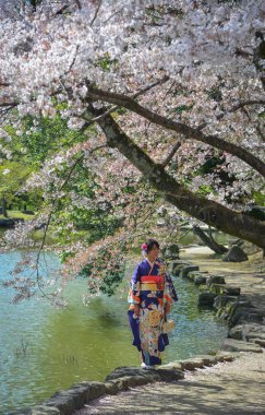 Kiraz çiçeği altında kimono genç bir kadın 