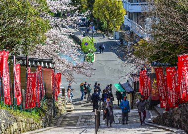 Kiraz çiçeği sokakta yürüyen turistler