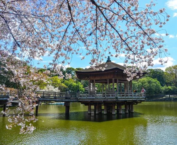 Kiraz çiçeği sırasında Ukimido Gazebo — Stok fotoğraf