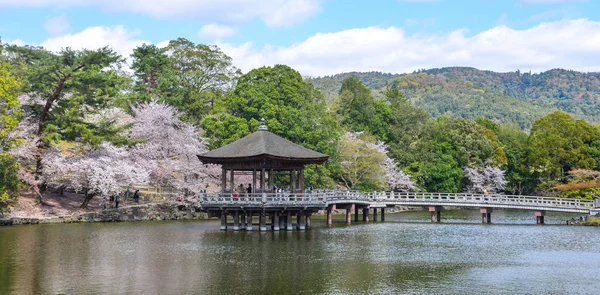 Gazebo Ukimido pendant la floraison des cerisiers — Photo