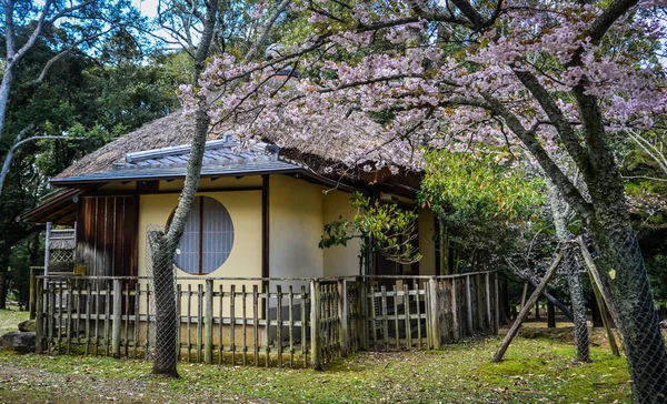 京都市内の木造住宅 — ストック写真