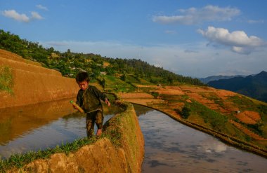 Vietnam'da pirinç tarlasında oynayan çocuklar 