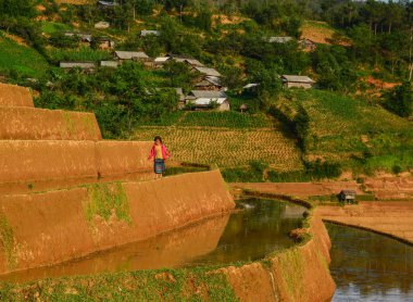 Vietnam'da pirinç tarlasında oynayan çocuklar 