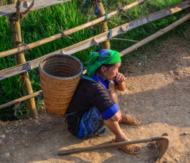 Pirinç tarlasında çalışan hmong kadın 