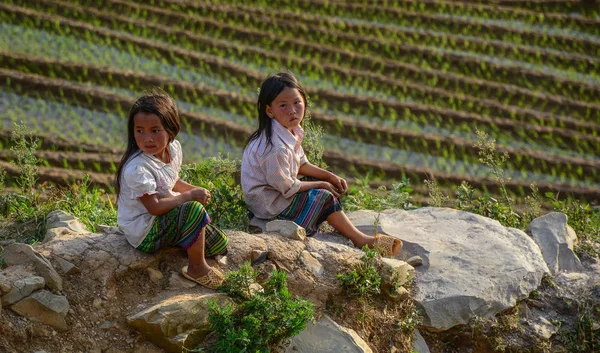 Enfants jouant sur la rizière au Vietnam — Photo