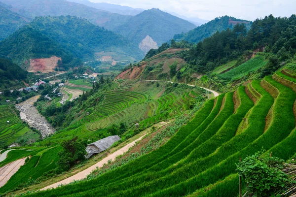 Terreno di riso a terrazze nel Vietnam del Nord — Foto Stock