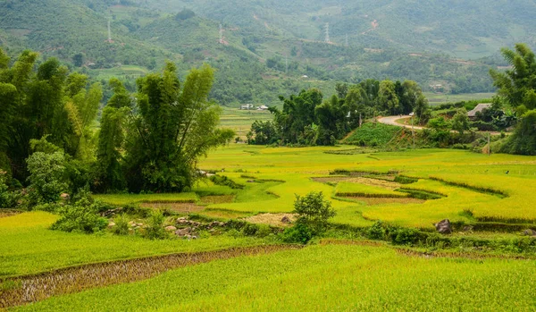 Teraslı pirinç alan Kuzey Vietnam — Stok fotoğraf