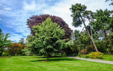 Christchurch botanik bahçesi, Yeni Zelanda