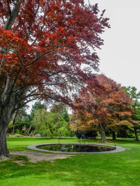Christchurch botanik bahçesi, Yeni Zelanda