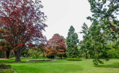 Christchurch botanik bahçesi, Yeni Zelanda