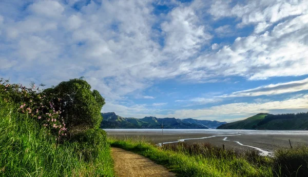 Landsape of Mackenzie Country — Stock Photo, Image