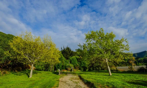 Botanic garden in Christchurch, New Zealand — Stock Photo, Image