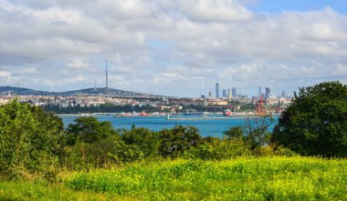 Güneşli bir günde sahil parkı 