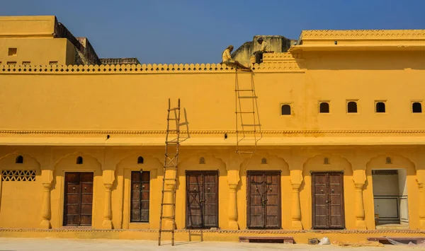 Details der Bernstein-Festung in Jaipur, Indien — Stockfoto