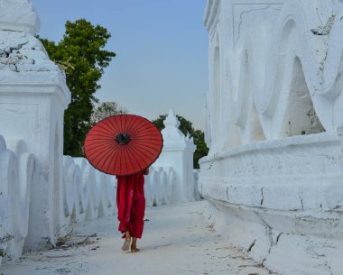 Beyaz tapınakta bir Budist acemi keşiş 